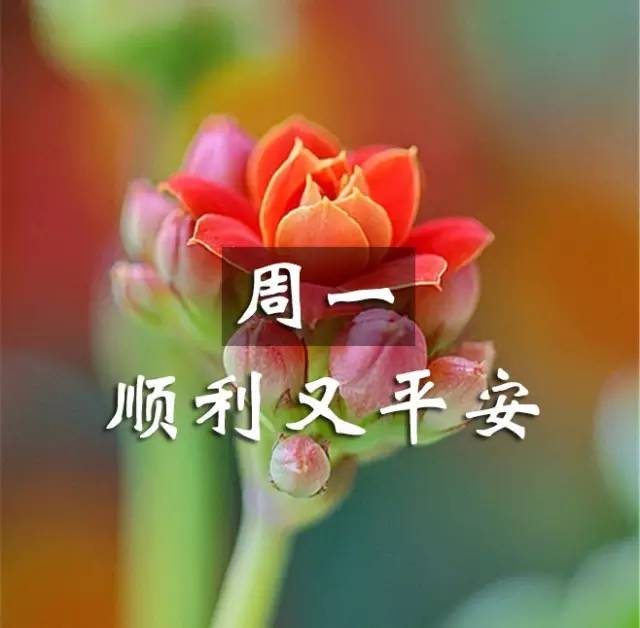 365个早上好歌曲视频，把每个清晨都过成值得纪念的小日子